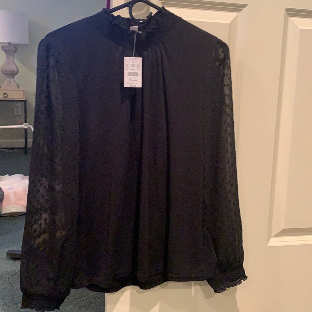 Jcrew Top with Sheer Polka Dot Sleeves
